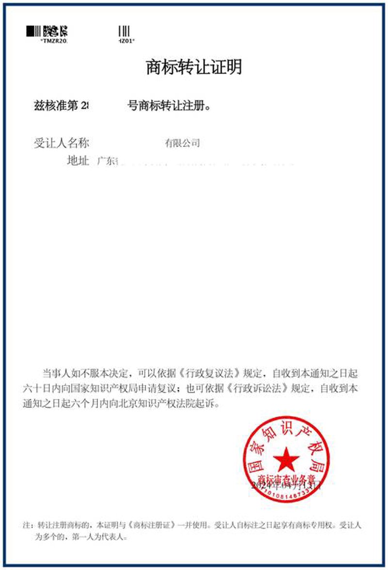知识产权代理机构：推动创新企业成长的新引擎